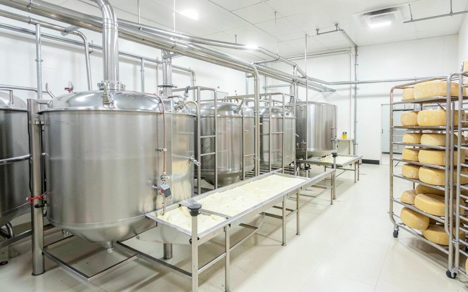 Cheese vats and curd draining tables in a dairy production room